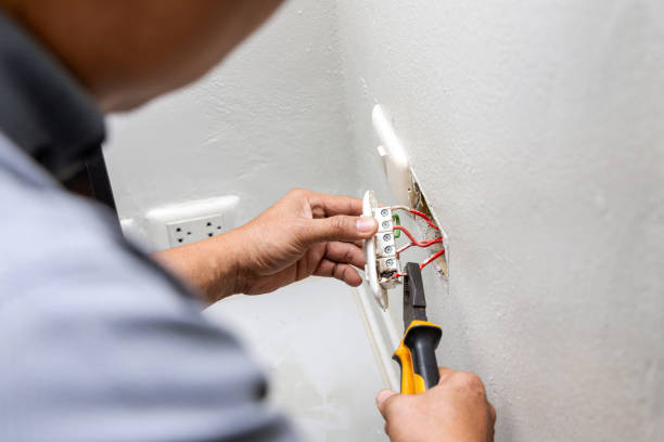 Best Residential Electrician Services  in La Fayette, AL